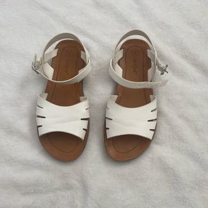 Cat and jack shoes